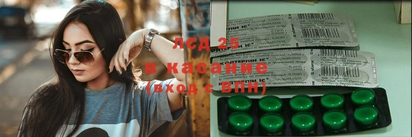ECSTASY Липки