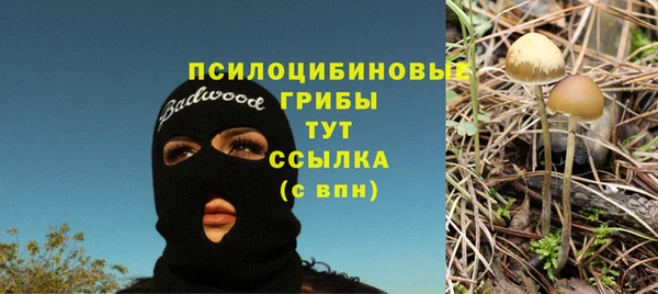 mix Алексин