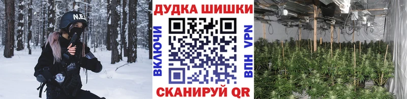 Каннабис гибрид  где можно купить наркотик  Княгинино 